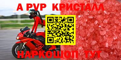 хмурый Тула
