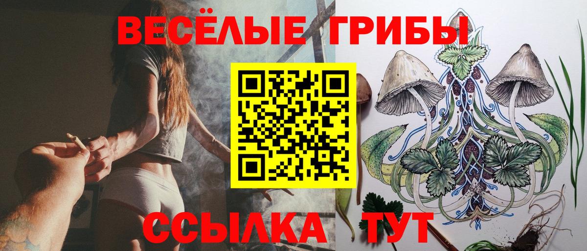 Псилоцибиновые грибы GOLDEN TEACHER Фурманов