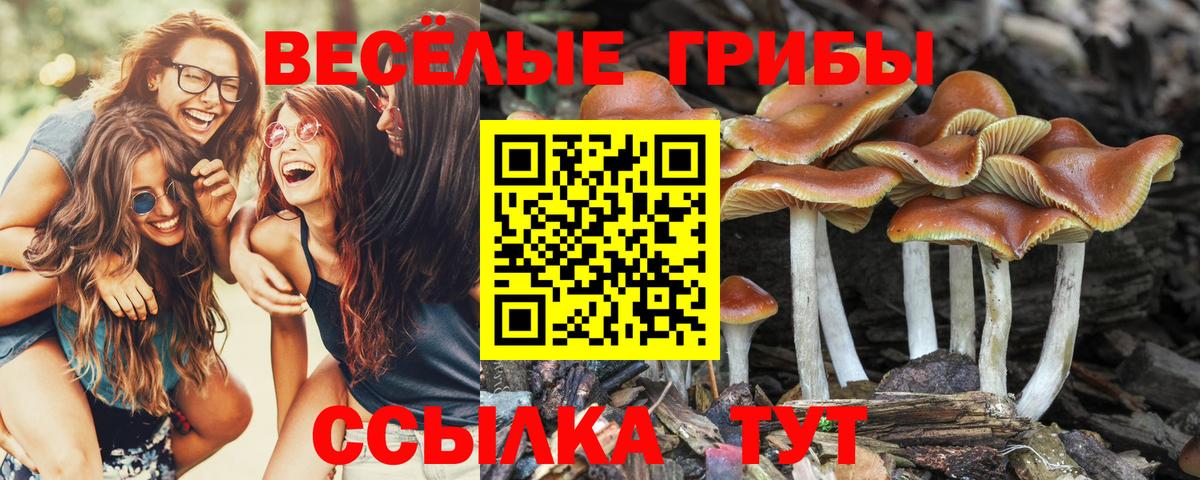 Фурманов  Псилоцибиновые грибы ЛСД  Вход с VPN 