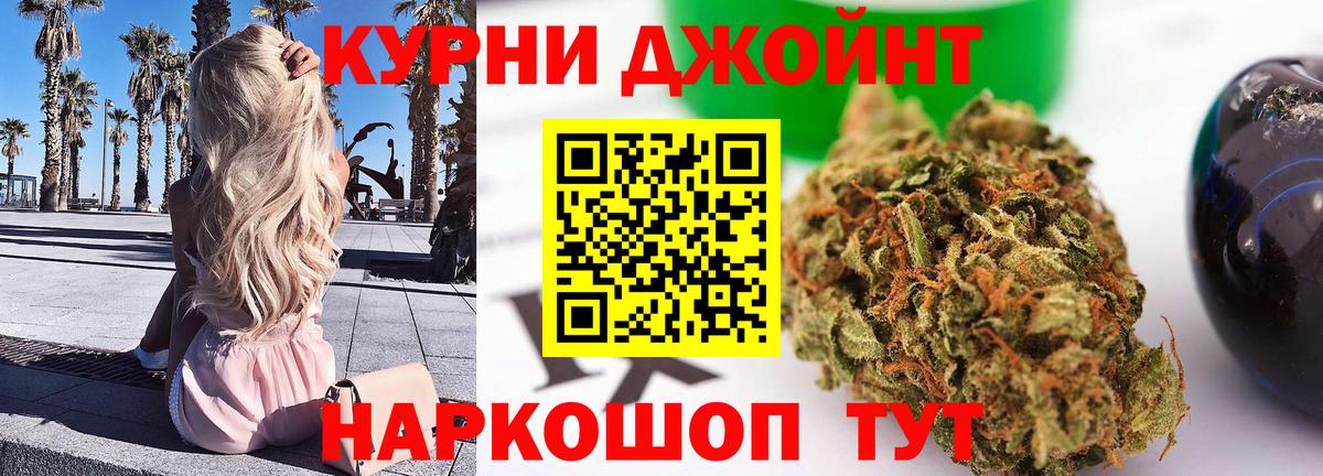 МАРИХУАНА сатива Фурманов